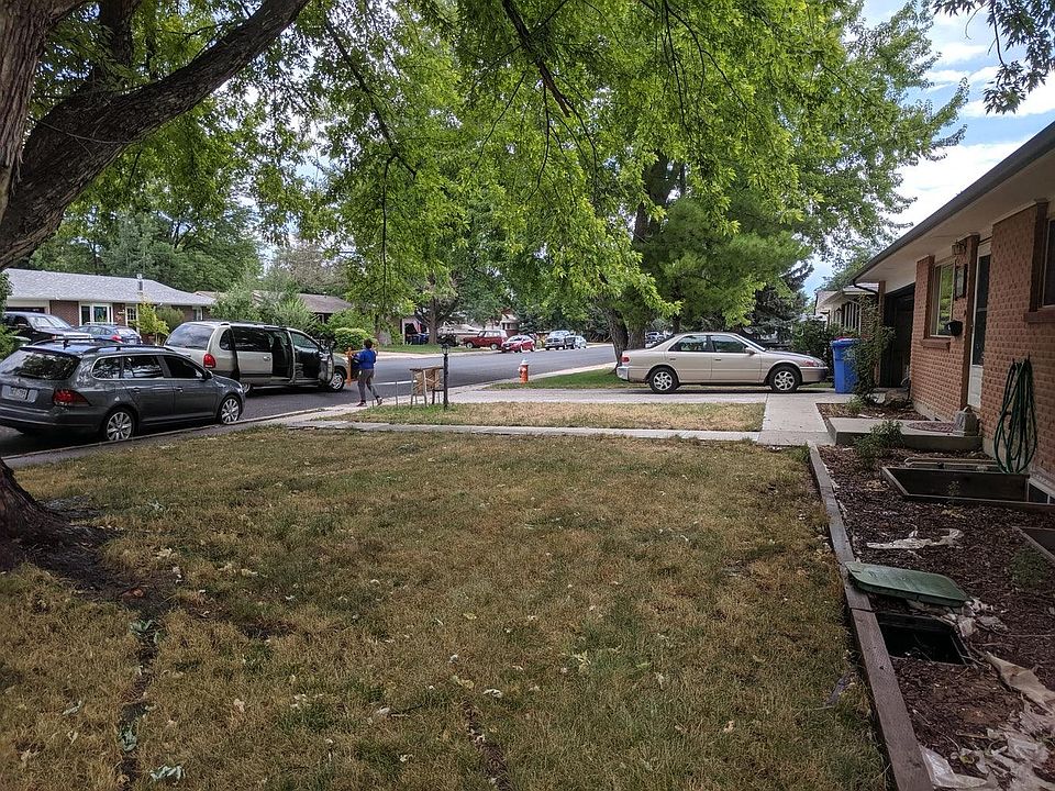 front yard and street view