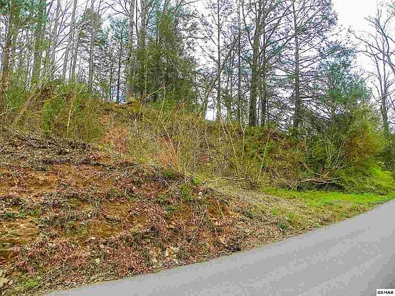 2nd image of 1 Shady Grove Rd #1