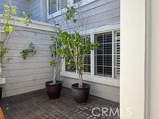 15 Elderberry — Photo 118