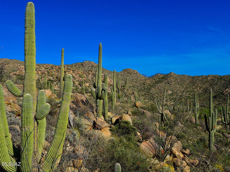 1st image of 15490 N Dove Canyon Pass