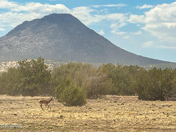 2nd image of 0 W Mile High Rd. Lot D 10 acres -- #84