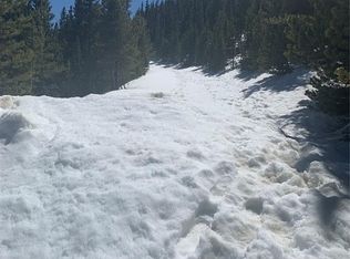 Hilltop Rd, Idaho Springs, CO 80452