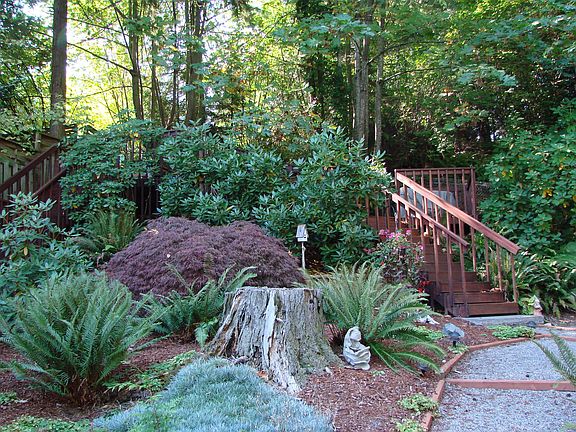 Terraced Backyard