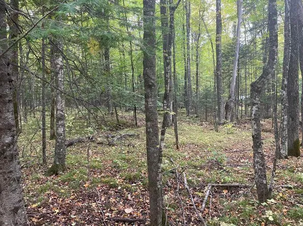 Lt0 BEAR PAW ROAD, Amberg, WI 54102