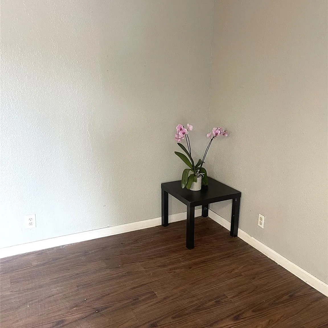 Studio, 1.0 bath, 1012 sqft, $990 — Photo 3