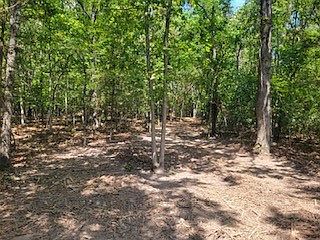 5th image of County Road 302