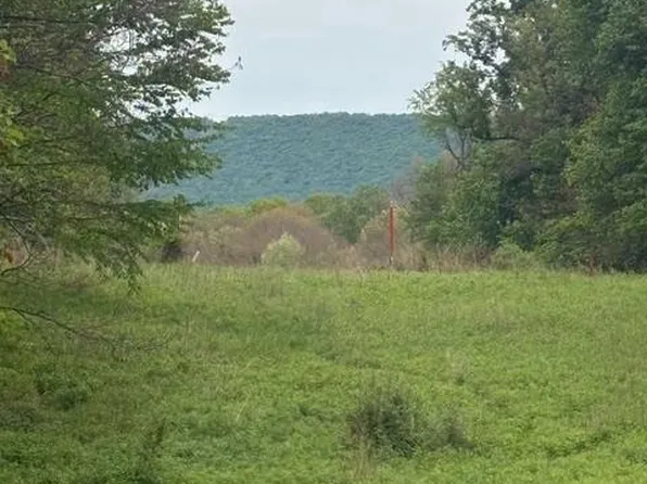 1311 Red Hill Rd, Dauphin, PA 17018