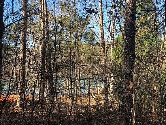 3rd image of LOT Waterside Cross W Cannon Ct Lot 60