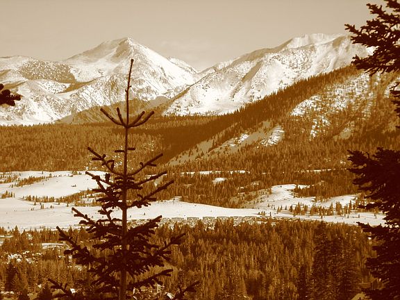 View from deck