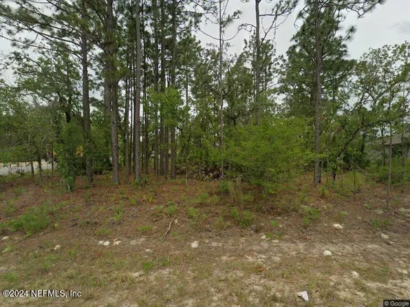 2044 W W RILEY DR Drive, Citrus Springs, FL 34434