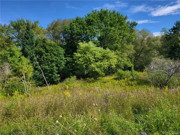 Abbott Rd #12, Cuba, NY 14727