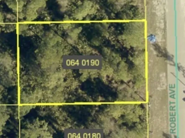 2011 Robert Ave, Alva, FL 33920