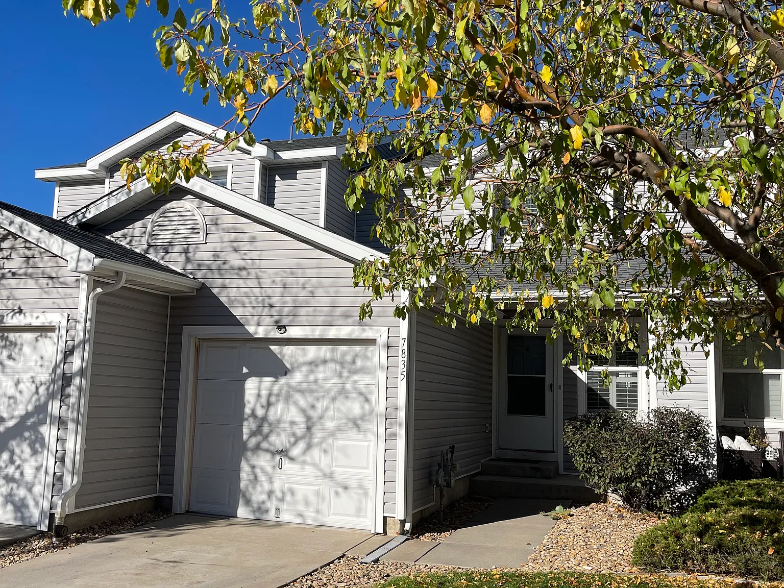 3 bed, 1240 sqft, $2,000 — Photo 2