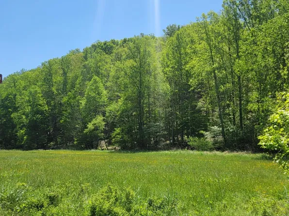 0 Venturous Trl Lot 1-3, Goode, VA 24556