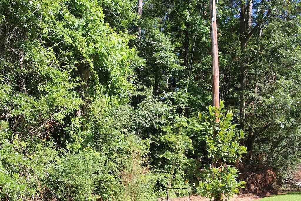 Short St, Pelahatchie, MS 39145 Zillow