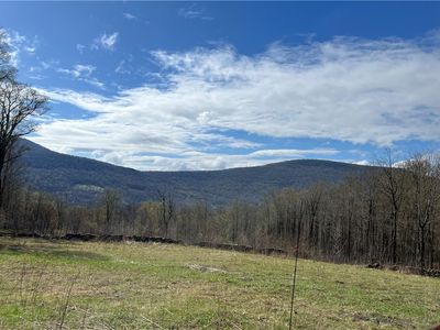 Vega Mountain Rd, Roxbury, NY, 12474