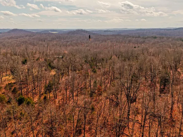 000 Private Drive County Road 803b, Gainesville, MO 65655