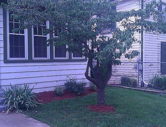 Exterior Summer