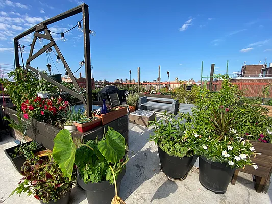 Rented by City Vista Inc | media 43