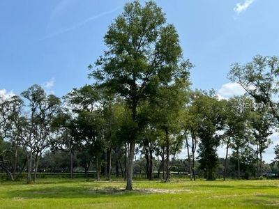 NW 14th St Lot 7, Ocala, FL, 34482