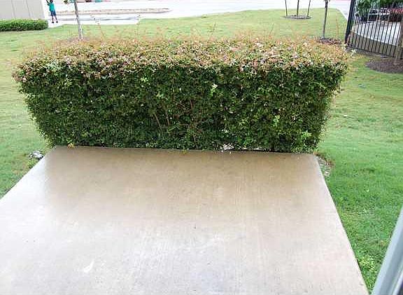 2nd image of 1900 Little Elm Trl APT 34