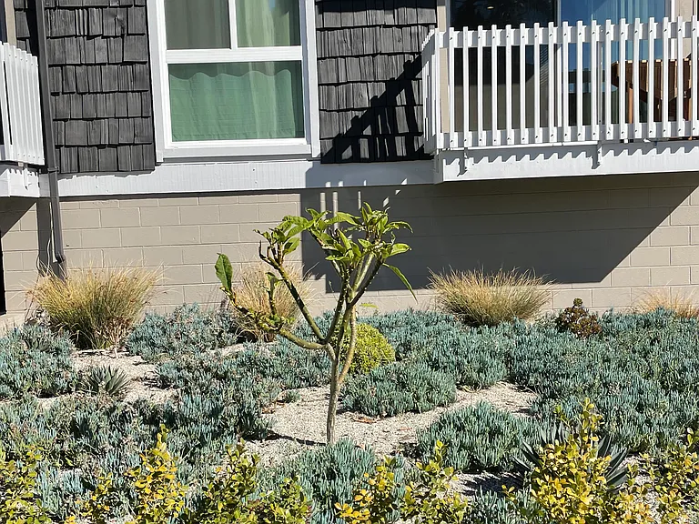 LUXURY LIVING AT AN AFFORDABLE PRICE — Photo 7