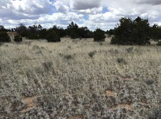 38 Country Ln, Ramah, NM 87321