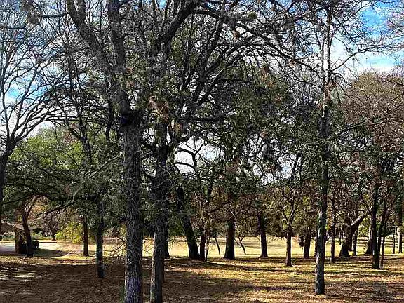 2nd image of 616 Pecan Creek Ln