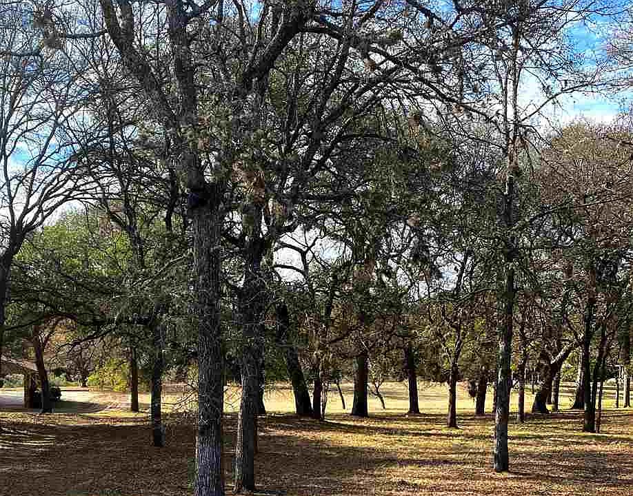 2nd image of 616 Pecan Ln
