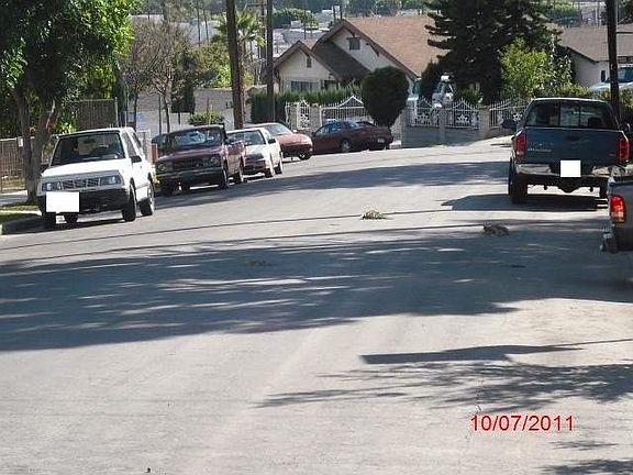 2nd image of 3969 Drysdale Ave