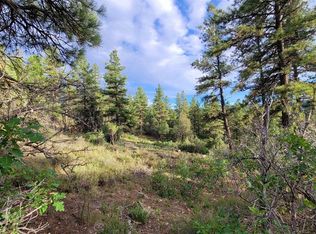 814 Ginger Circle, Pagosa Springs, CO 81147