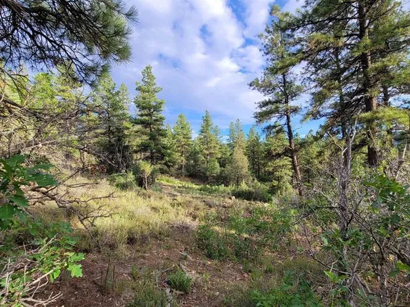 814 Ginger Circle, Pagosa Springs, CO 81147