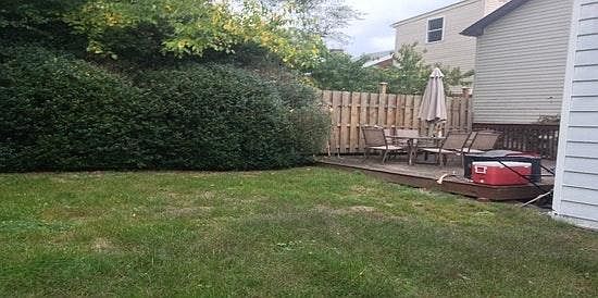 Yard and Deck
