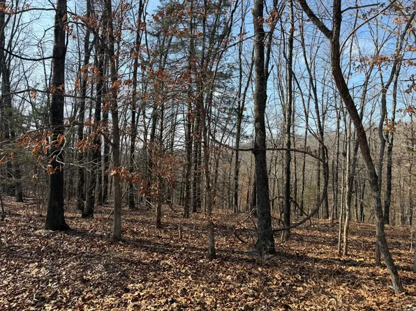 Lot 112 Walnut Springs Drive, Cape Fair, MO 65624