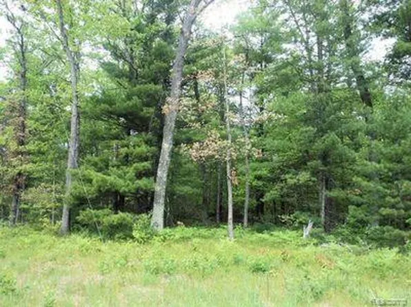 0 E Cp, Idlewild, MI 49642