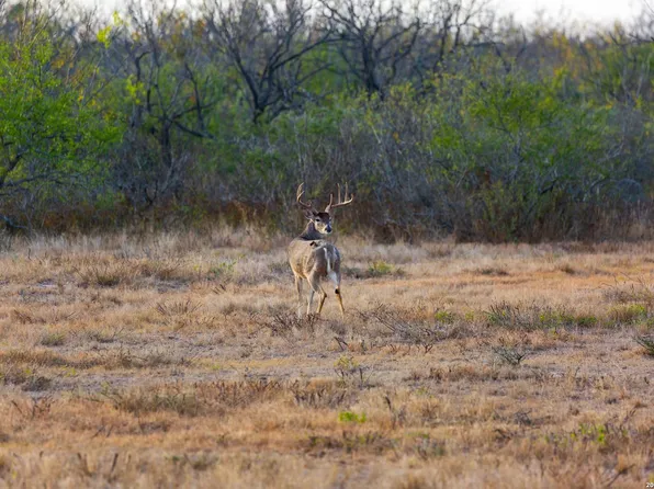 FM 1572 Hwy 131, Spofford, TX 78832