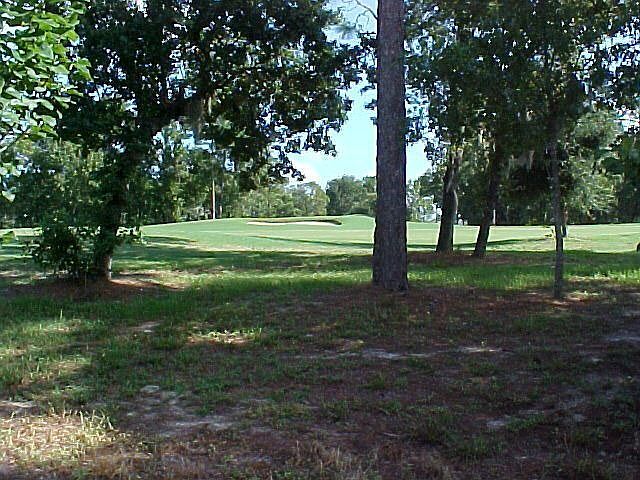 7th fairway