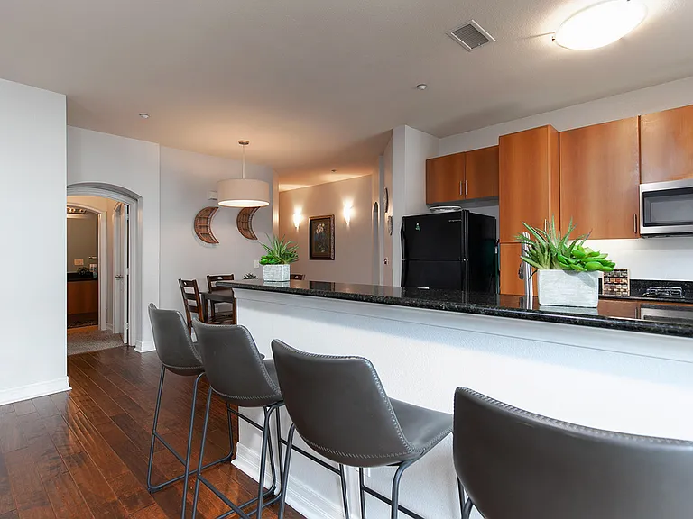 1225 Island Ave #208 — Photo 6