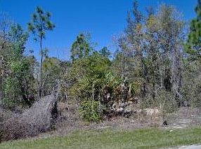 1st image of 6094 S Canna Lily Ave