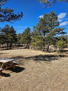 23380 Jasper Trail, Deer Trail, CO, 80105