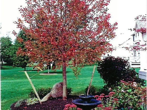 view of landscaping in the fall