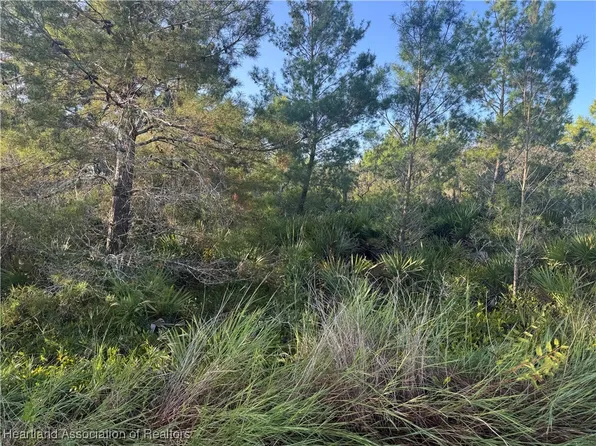 206 Oriole Ave, Sebring, FL 33870