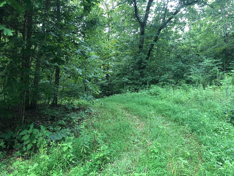 2nd image of 289 Ridge Rd