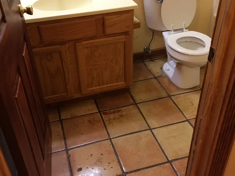 247 Jenkins Ranch Rd — Photo 12