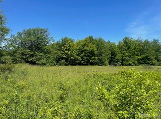 Tbd5e Lower Pike River Rd, Chassell, MI 49916