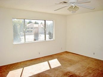 4th image of 916 Palmerston St