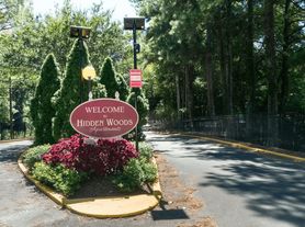 Hidden Woods