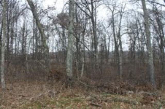 2nd image of 00 Robinhood Lane