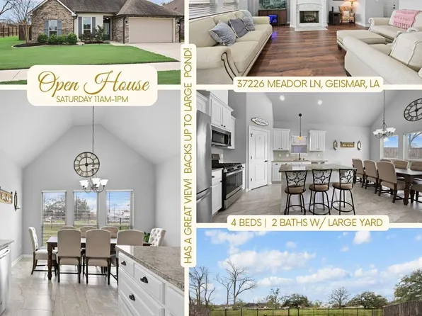 37226 Meador Ln, Geismar, LA 70734