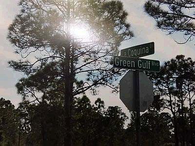 View of the street sign